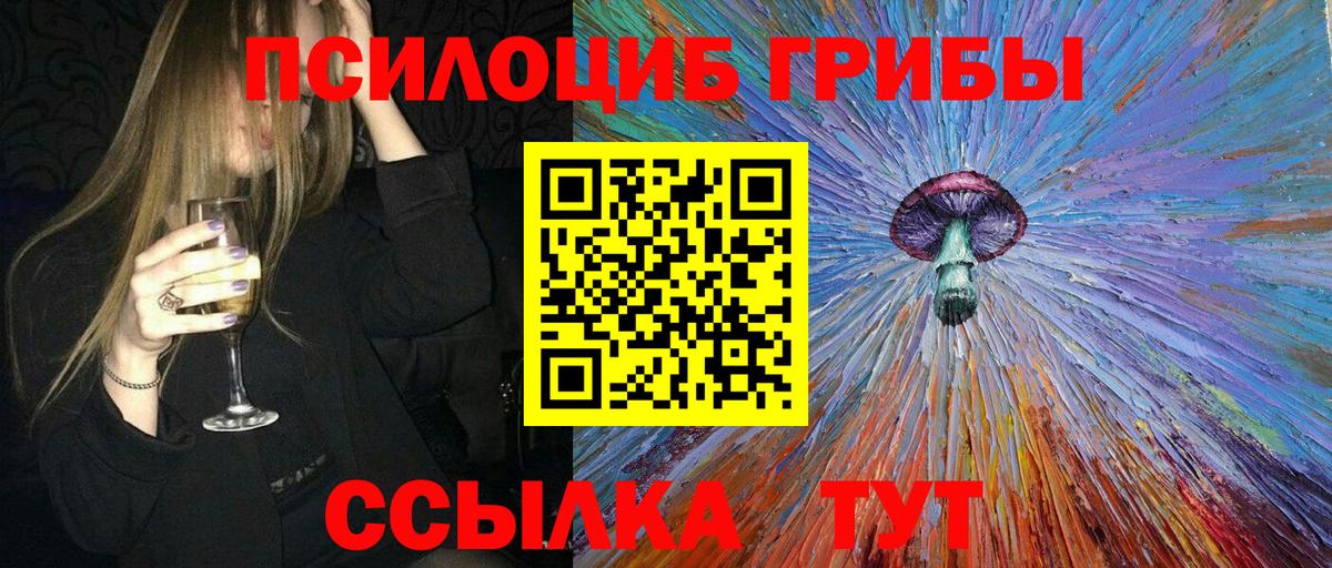 Псилоцибиновые грибы MAGIC MUSHROOMS  Псилоцибиновые грибы Cubensis  Звенигород  Вход с VPN 